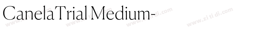 CanelaTrial Medium字体转换
